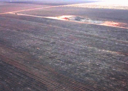 MPE investiga incêndio em canavial que devastou áreas protegidas e gerou multa de R$ 4,8 milhões em Angélica