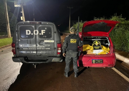 Droga que seguia para MG é interceptada pelo DOF em Maracaju