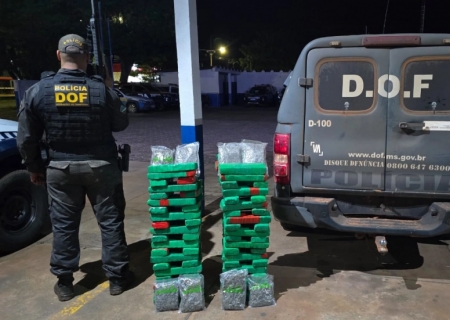 DOF apreende maconha e skunk abandonados às margens de rodovia em Amambai
