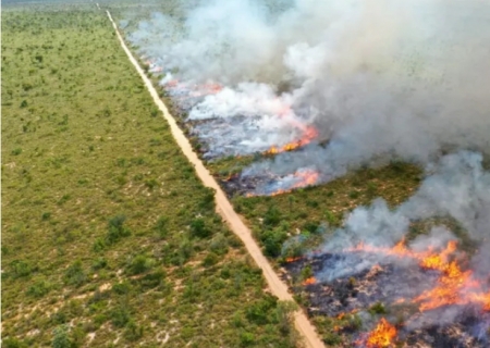 Governo de MS promove 6º Seminário de Manejo Integrado do Fogo com foco em elaboração técnica