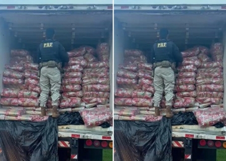 PRF apreende quase duas toneladas de maconha na divisa entre MS e SP