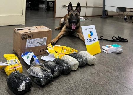 DENAR intercepta encomendas com mais de 2,3 kg de drogas durante operação em parceria com os Correios
