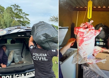 Polícia Civil esclarece furto de carneiros e prende suspeito reincidente em Anaurilândia
