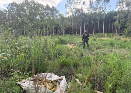 Veículo roubado e carregado com maconha atola em estrada vicinal de Ponta Porã
