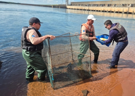 CESP inicia marcação de peixes na piracema para ampliar monitoramento no rio Paraná