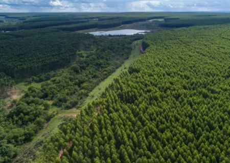 Mato Grosso do Sul avança em modelo que une crescimento econômico, industrialização e sustentabilidade