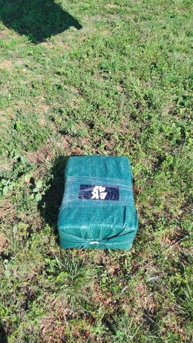 Avião com cocaína faz pouso forçado em fazenda de Porto Murtinho após fuga aérea