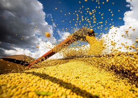Safra brasileira deve fechar 2025 com recorde histórico de 346,1 milhões de toneladas, aponta IBGE