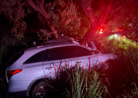 Acidente com animal na pista termina em morte na região de Nova Casa Verde