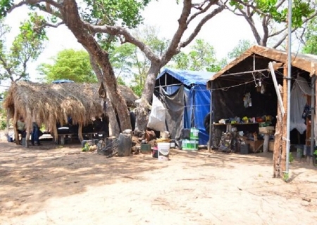 Trabalho escravo gera R$ 11,5 milhões em indenizações em MS em dois anos