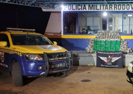 Drogas avaliadas em mais de R$ 1 milhão são apreendidas em Coronel Sapucaia