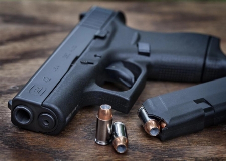Programa Minha Primeira Arma: projeto de Pollon prioriza baixa renda e morador de área violenta