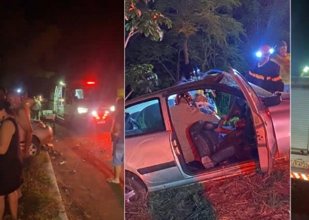 Colisão com anta provoca acidente na MS-134 e deixa dois feridos entre Nova Andradina e Nova Casa Verde