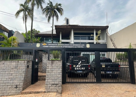 Polícia Civil prende mulher por maus-tratos a animal e furto de energia na Capital