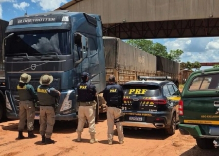 PRF e Ibama apreendem carga de madeira com indícios de ilegalidade em Rio Brilhante