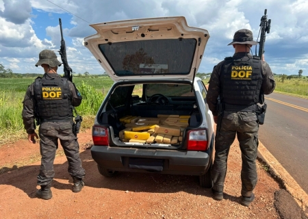 Adolescente é apreendido pelo DOF com mais de 300 kg de maconha em Ponta Porã