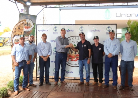 Nova Alvorada do Sul atrai indústria de amendoim com investimento de R$ 30 milhões