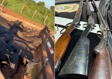 SIG prende pai e filho por receptação e recupera gado furtado em Nova Andradina