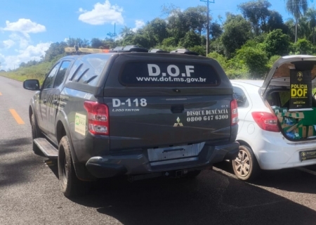 DOF apreende mais de 120 kg de drogas que seriam levadas para Naviraí