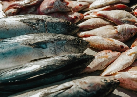 Páscoa deve impulsionar consumo de peixes em até 30% no Brasil