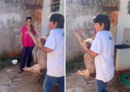 Cão vítima de maus-tratos é resgatado em ação conjunta da Polícia Civil e Prefeitura em Bataguassu