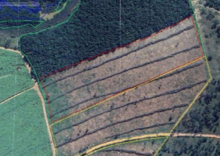 MP instaura inquérito para investigar desmatamento irregular em área de Reserva Legal em Nova Andradina