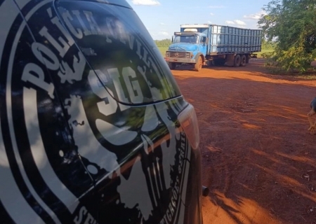 Polícia Civil recupera 14 cabeças de gado furtadas e prende suspeito em flagrante em Fátima do Sul