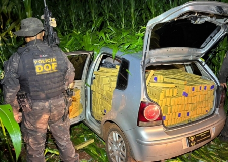 Carro furtado é abandonado em milharal com quase uma tonelada de maconha em Maracaju