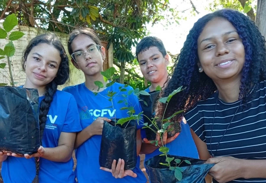 Projeto Arboriza Via avança com nova turma e amplia cultivo de mudas em Batayporã
