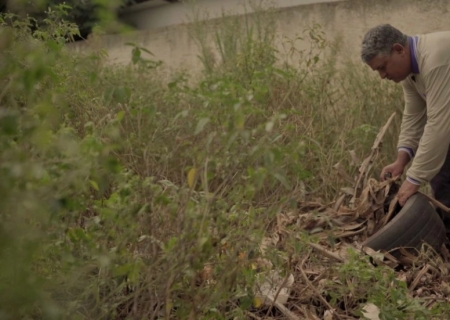 SES e Defesa Civil intensificam força-tarefa contra chikungunya em Dourados