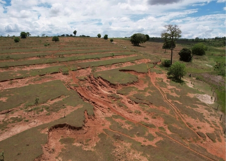 Ministério Público acompanha recuperação de áreas degradadas em Deodápolis