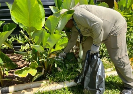 Nova Andradina registra três casos de Chikungunya e intensifica alerta à população