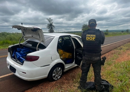 DOF apreende maconha avaliada em R$ 1,4 milhão na fronteira