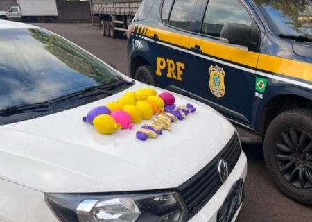 Haxixe que seguia para MG em tanque de carro é apreendido pela PRF em Caarapó