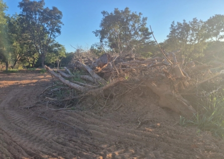 PMA flagra desmatamento irregular e aplica multa em área rural de Rio Negro