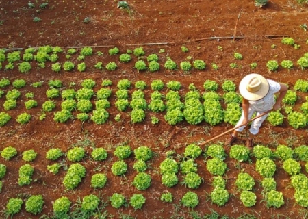Agraer fortalece acesso ao crédito rural em projetos que abrem oportunidades a quem trabalha no campo