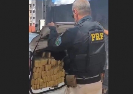 Ação integrada entre Polícia Civil e PRF resulta na apreensão de mais de uma tonelada de maconha em Dourados