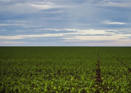 Fazenda estuda Fundo Garantidor para dívidas rurais