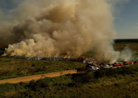 Queima prescrita no Parque Estadual das Várzeas do Rio Ivinhema reforça prevenção contra incêndios florestais em MS