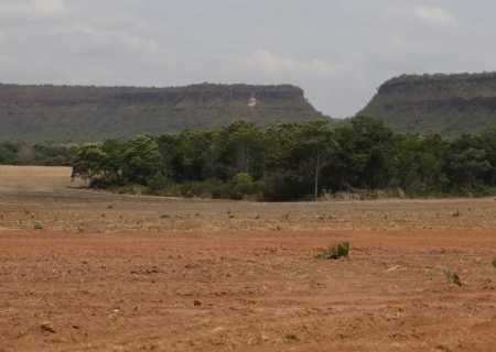Fragmentos de vegetação nativa cresceram no país 163% em 38 anos