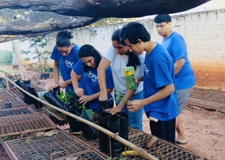 Arboriza Via conclui etapa de produção de mudas e prepara plantio na MS-276