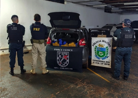 Ação conjunta apreende 219 kg de maconha em Ivinhema