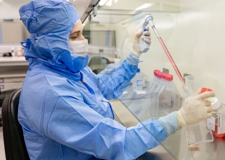 Estudo usa células-tronco contra complicações do transplante de medula