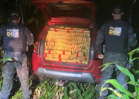 DOF apreende mais de uma tonelada de maconha e recupera veículo furtado após fuga em lavoura de milho