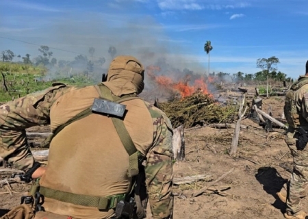 PF e Senad destroem 809 toneladas de cannabis na fronteira de MS