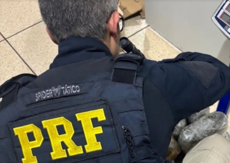 Adolescente é apreendido pela PRF com 11 quilos de skunk