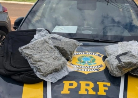 PRF apreende skunk em Nova Alvorada do Sul