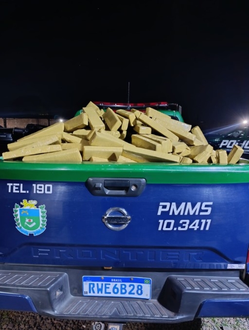 PMA apreende mais de 2 toneladas de maconha no início da 'Operação Semana do Meio Ambiente'