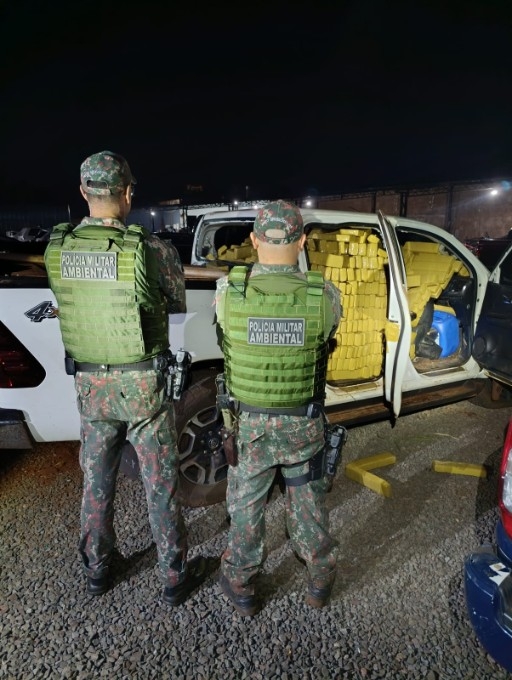 PMA apreende mais de 2 toneladas de maconha no início da 'Operação Semana do Meio Ambiente'
