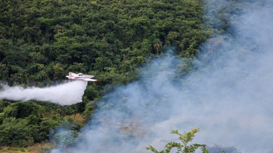 Bombeiros fazem queima prescrita para prevenir incêndios